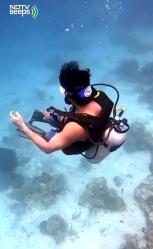 Into The Blue: Farhan Akhtar's Scuba Diving Video From Maldives